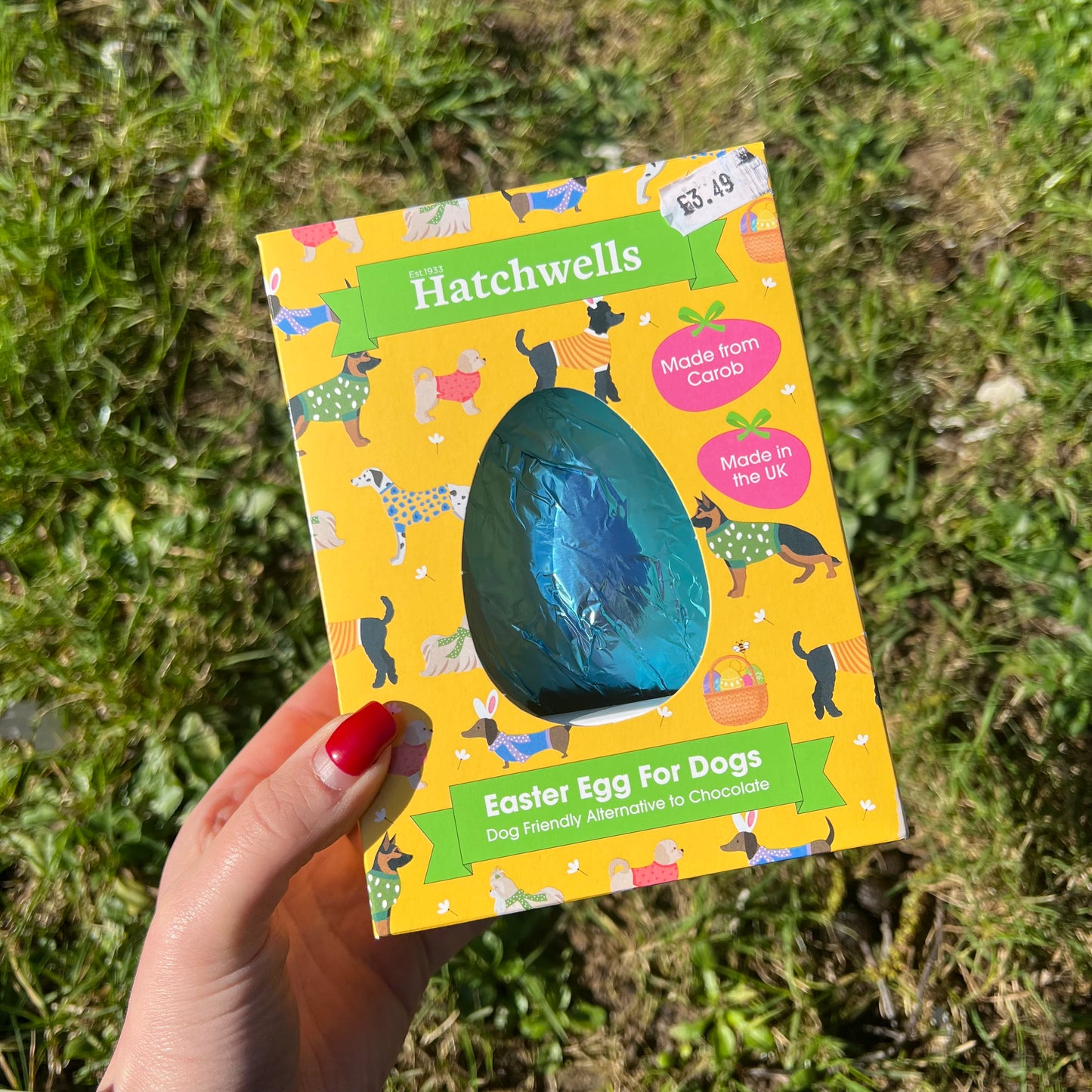 Dog Easter Egg with Carob