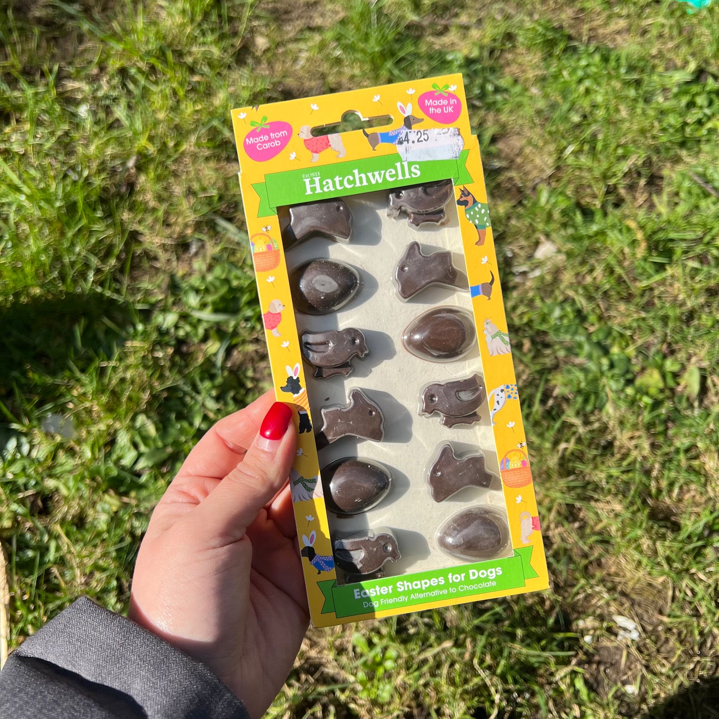 Dog Easter Shapes with Carob
