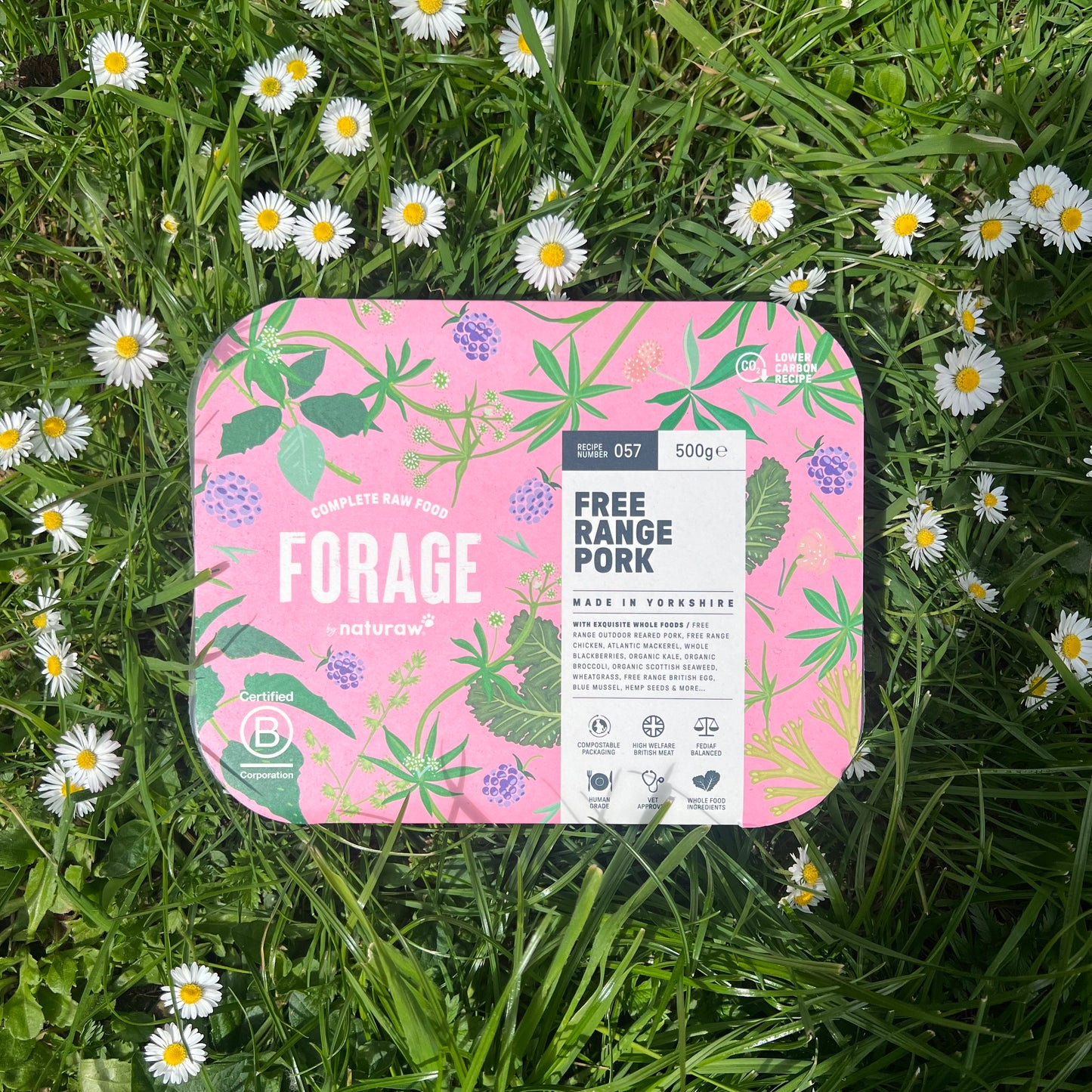 Naturaw Forage Pork 500g