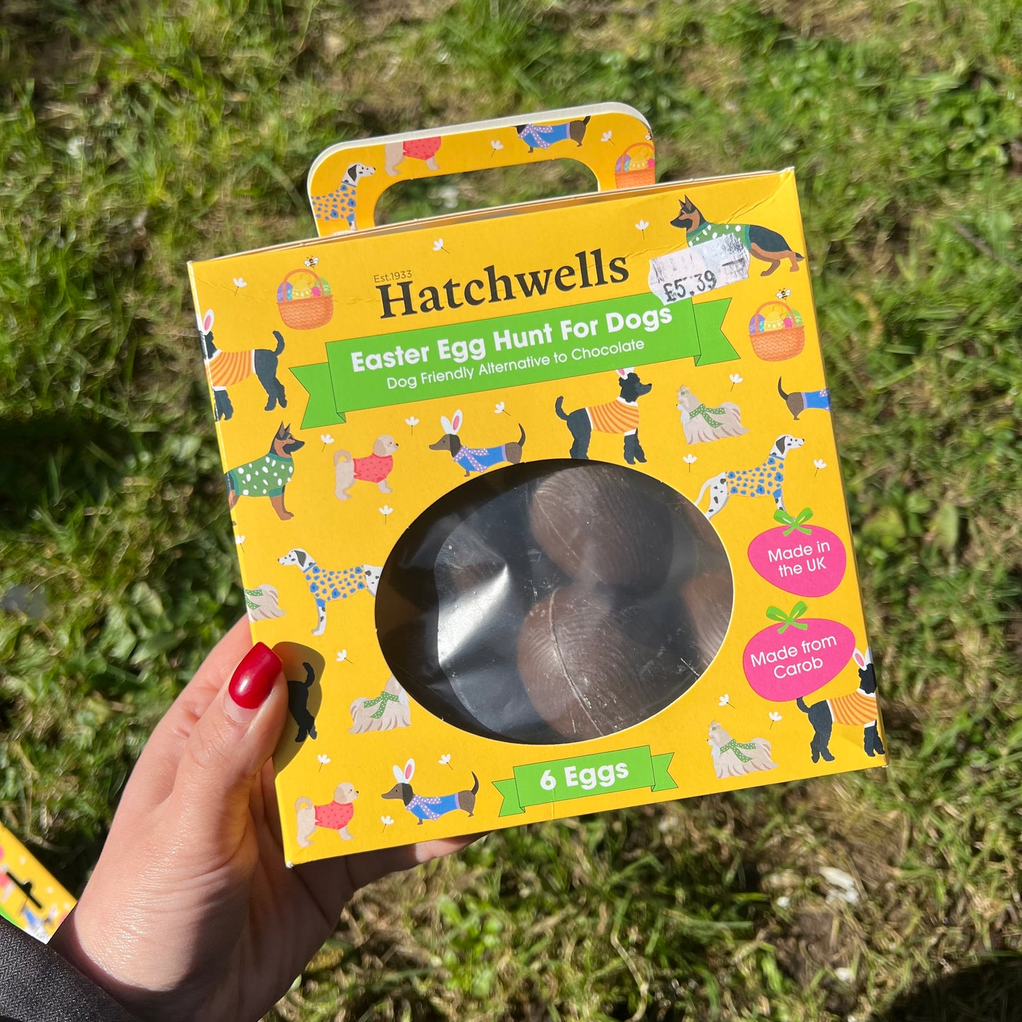 Dog Treasure Hunt Easter Eggs with Carob x6