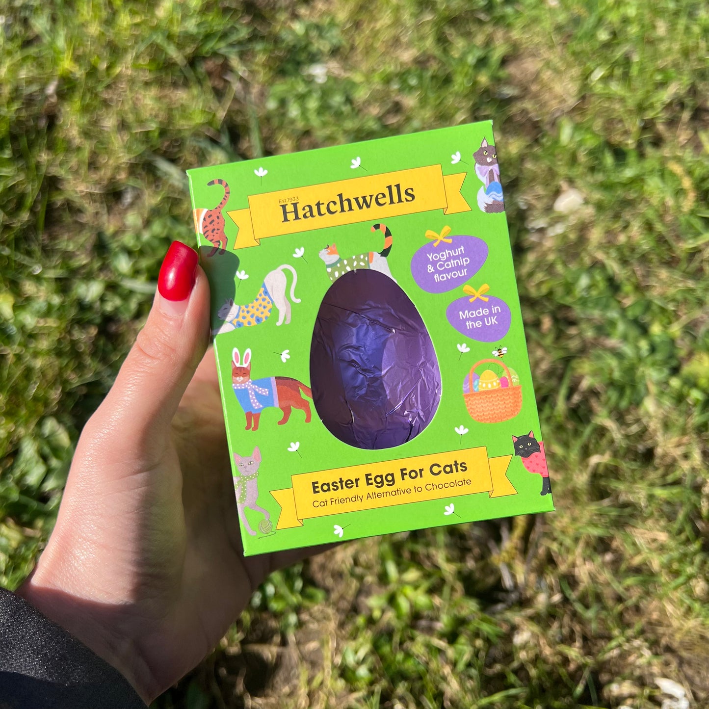 Cat Easter Egg with Catnip & Yogurt