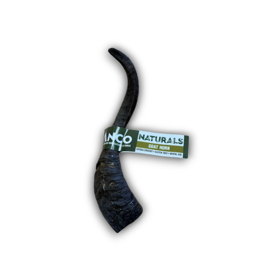 Anco Goat Horn