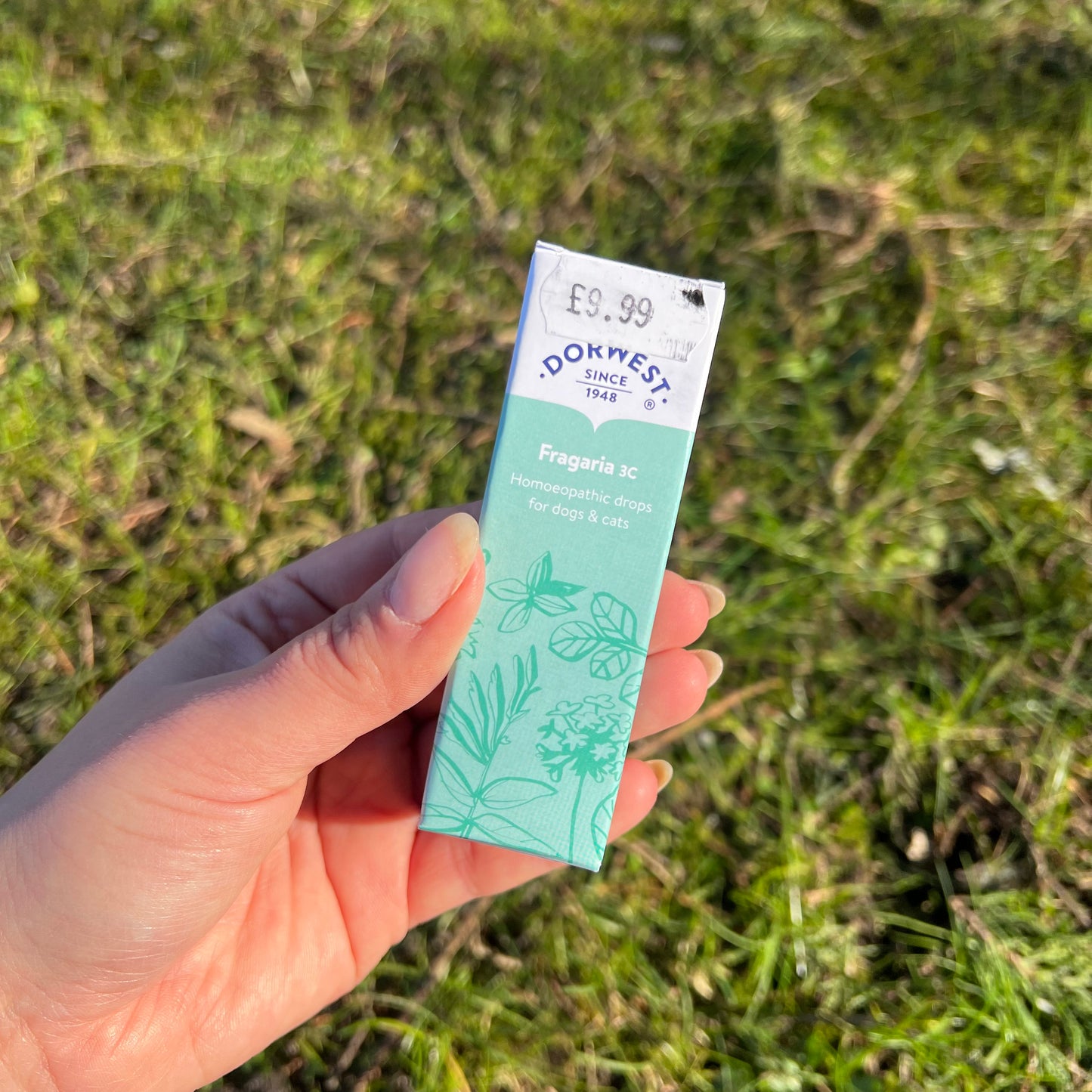 Dorwest Fragaria 3C 15ml