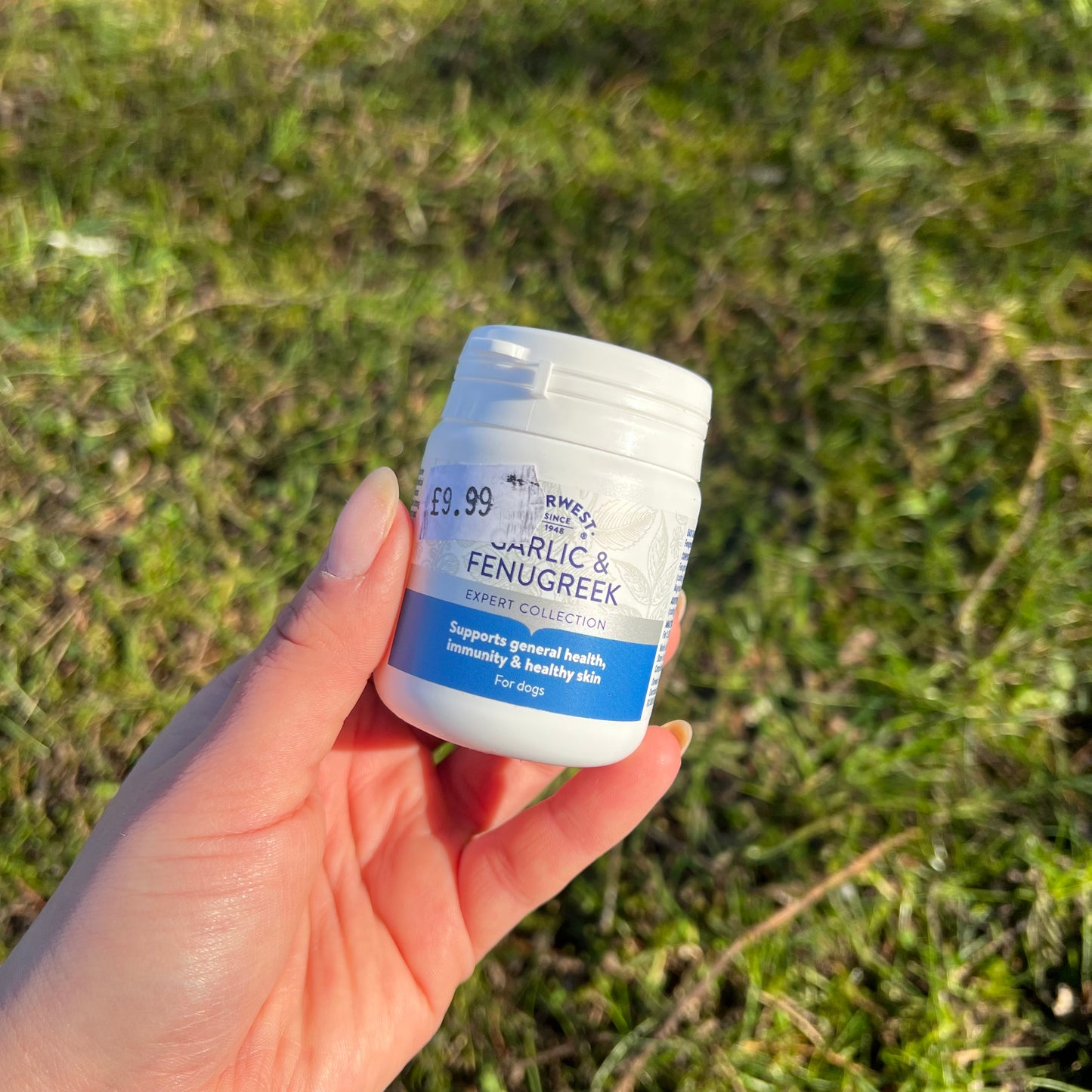 Dorwest Garlic & Fenugreek Tablets