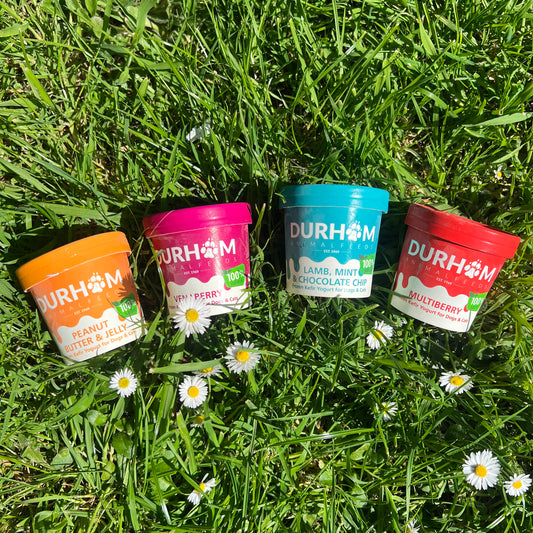 Durham Ice Cream 120ml