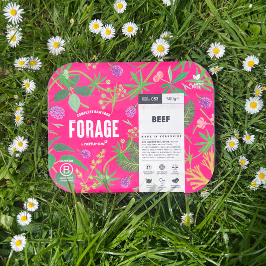 Naturaw Forage Beef 500g