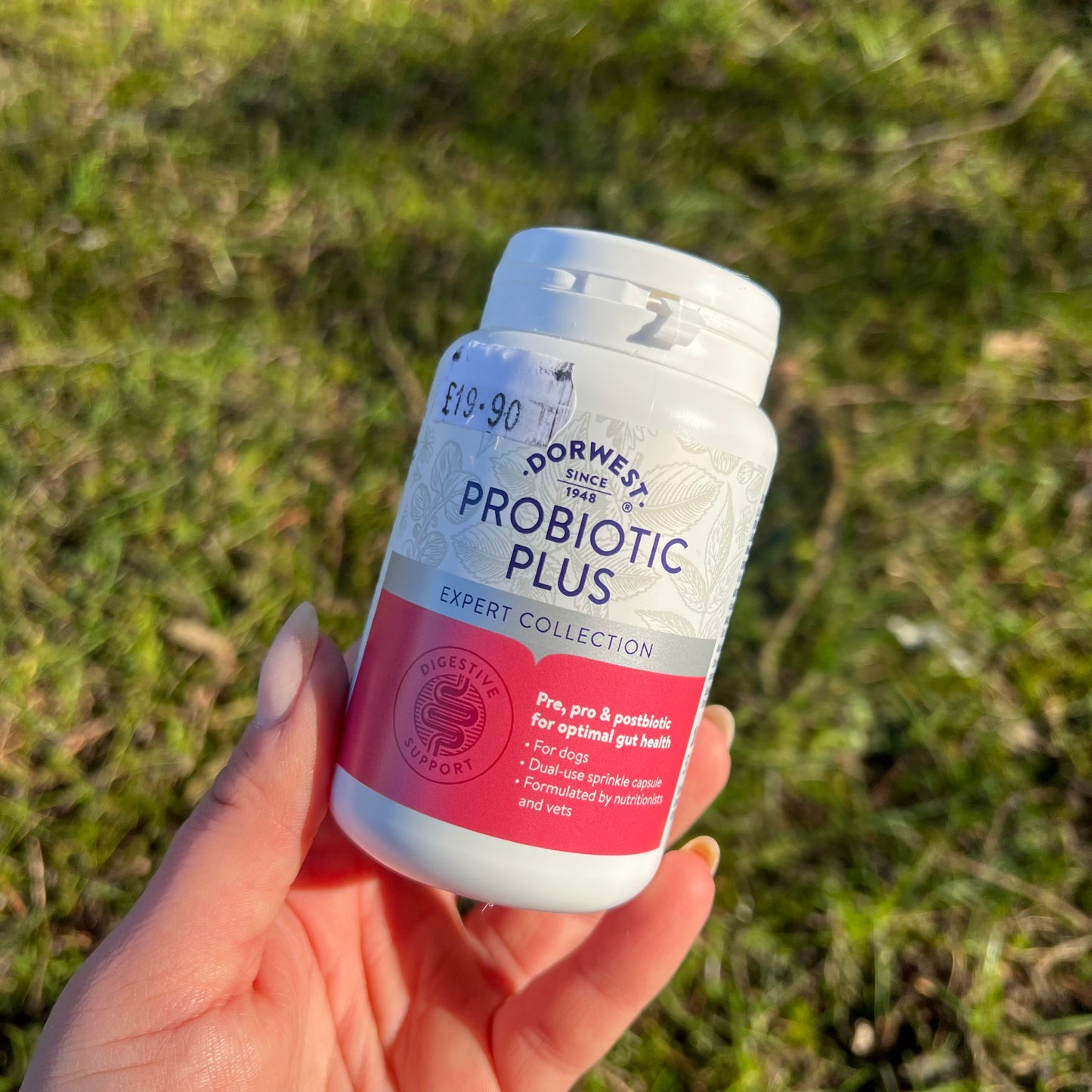 Dorwest Probiotic Plus For Dogs