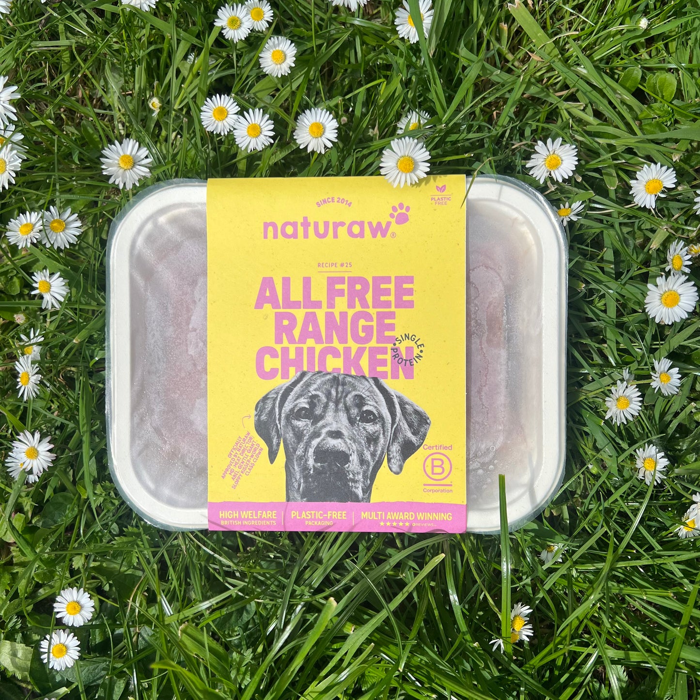 Naturaw Free Range Chicken 500g