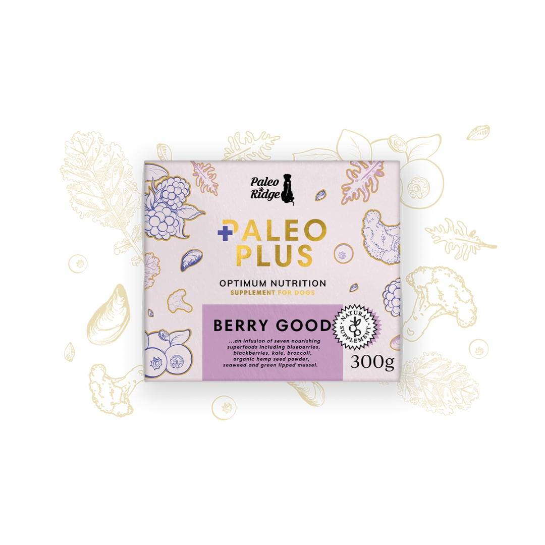 Paleo Plus Berry Good 500g