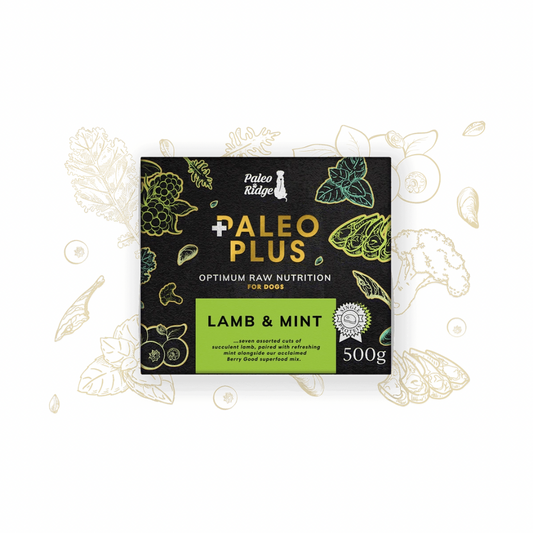 Paleo Plus Lamb & Mint 500g