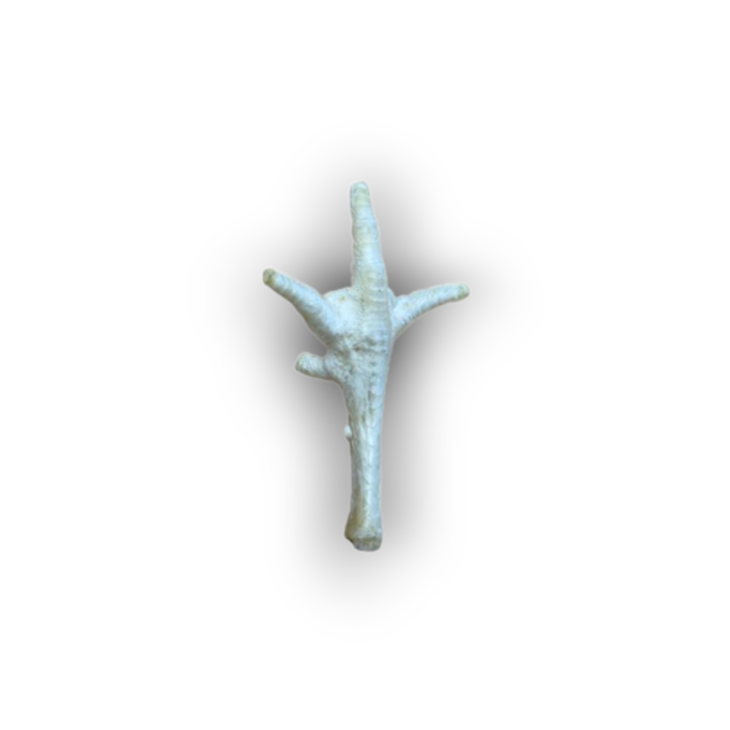 Puffed Chicken Foot x1